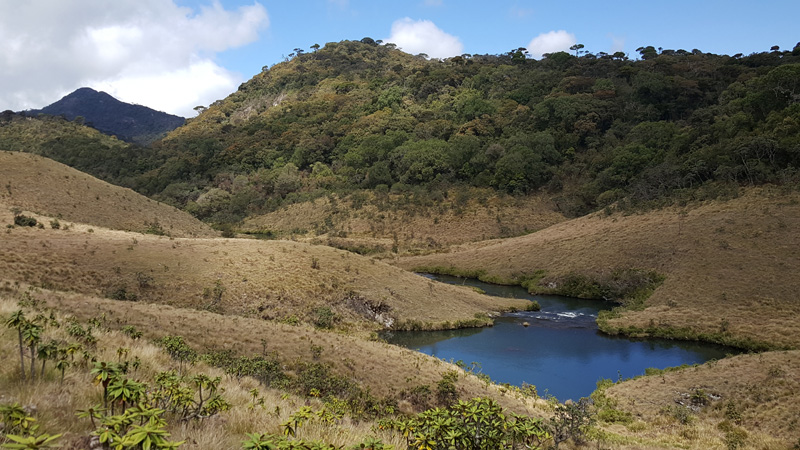 Horton Plains